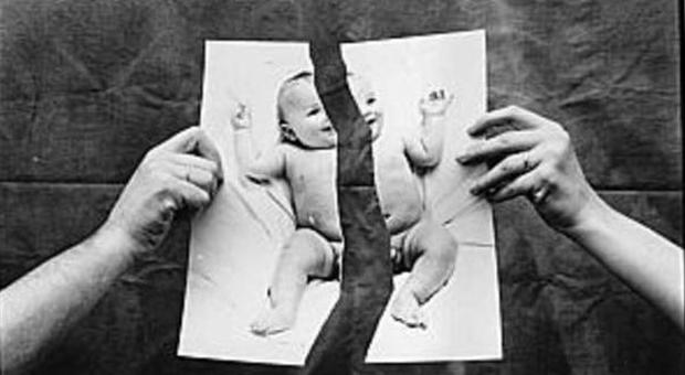 829102_50126_ra321086